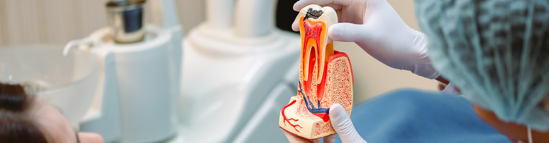 dentist holding tooth model with decay in front of patient