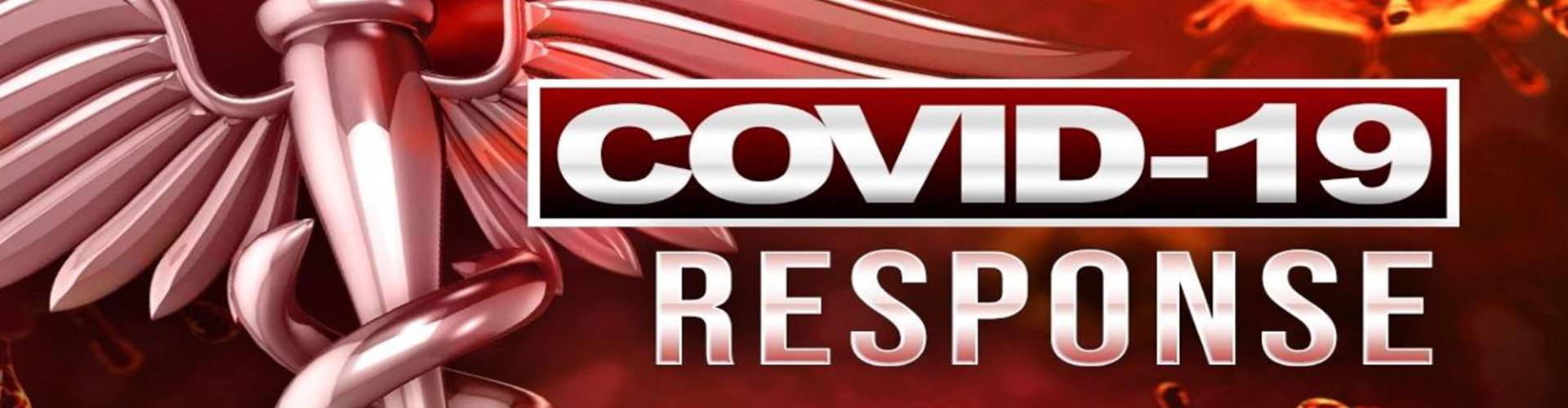 Rendering of COVID-19 virus.