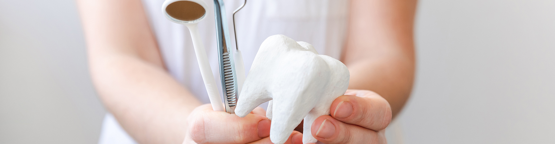 Person holding a tooth model and dental tools.