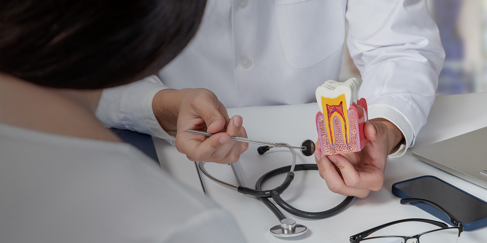 Dentist showing a patient a fake tooth model.